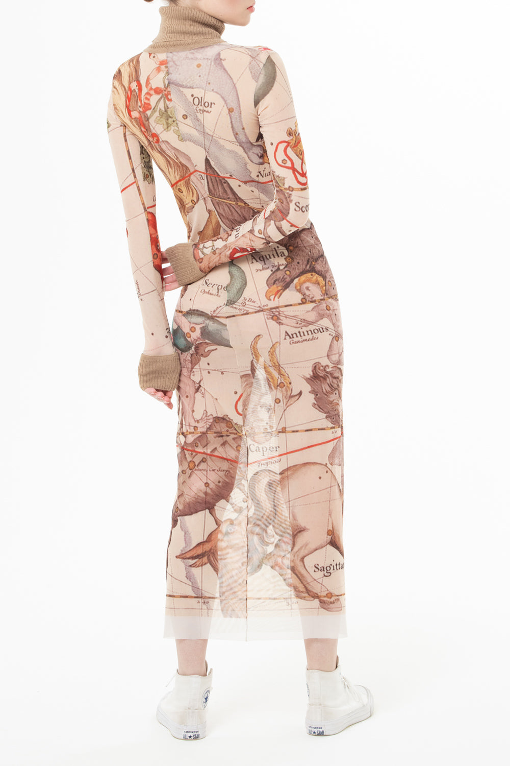Sheer printed turtleneck dress